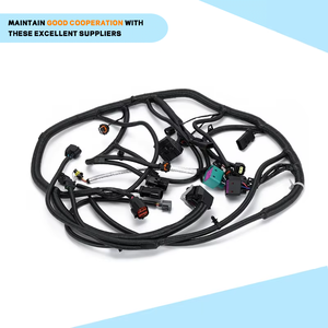 تسخير الاستشعار من الشركة المصنعة محرك السيارات يسخر الكهربائية وكابلات مخصصة - Product Image 5