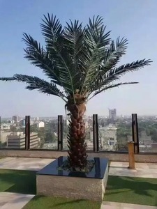 Vendas diretas da fábrica ao ar livre grande palmeira <span class=keywords><strong>artificial</strong></span> coqueiro árvore <span class=keywords><strong>artificial</strong></span> atacado - Product Image 4