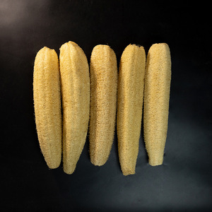Éponge en loofah 20-70 cm, rectangulaire, naturelle, pour nettoyer les casseroles et les poêles - Product Image 1
