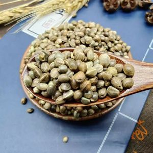 Semillas de Cáñamo Orgánicas Frescas al por Mayor, No Modificadas Genéticamente, Hierbas y Especias Individuales para Uso Medicinal y Comestible - Product Image 1