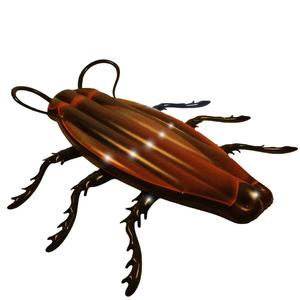 Isola Galleggiante Gigante a Forma di Scarafaggio Gonfiabile in Vinile Resistente, Giocattolo per Piscina per Bambini e Adulti - Product Image 1