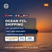 Agent de paiement pour l'expédition de fret FCL à transit rapide de Shenzhen vers les Émirats arabes unis, la Nouvelle-Zélande, le Chili, l'Inde, le Pérou, l'Égypte, la Hongrie, Israël