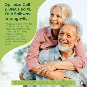 Cápsulas <span class=keywords><strong>de</strong></span> Musgo Marino OEM 16 y 1, Suplemento con <span class=keywords><strong>Aceite</strong></span> <span class=keywords><strong>de</strong></span> <span class=keywords><strong>Semilla</strong></span> Negra, Ashwagandha, Cúrcuma, Complejo <span class=keywords><strong>de</strong></span> Penicillus y Bardana - Product Image 2