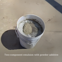 Peinture imperméable à base de ciment JS en gros, résistante au chlore, revêtement antidérapant pour terrasse de piscine, couleur personnalisable pour les murs