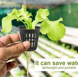 Hidroponik plastik sepet bitki plastik ağ tencere kapalı saksı <span class=keywords><strong>Net</strong></span> fincan - Product Image 4