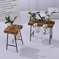 Conteneur hydroponique créatif pour philodendron - Décoration d'intérieur en verre - Ensemble de petits vases à fleurs pour bureau