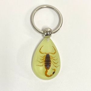 <span class=keywords><strong>Porte</strong></span>-clés en <span class=keywords><strong>résine</strong></span> avec des insectes réels lumineux de taille moyenne, scorpion - Product Image 2
