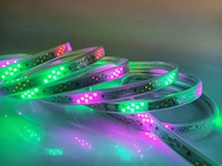 Kit de Bandes LED Intelligentes RGB Personnalisées GOWIN OEM de Haute Qualité, 144 LED/m, 11W/m, PVC Flexible, IP68, Décoration Paysagère, Télécommande