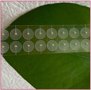 AmywellMED بذور الأذن المغناطيسية الوخز بالإبر علاج نقطة الأذنية بقع نقطة الأذنية العلاج الأذني - Product Image 2