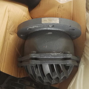 <span class=keywords><strong>Clapet</strong></span> <span class=keywords><strong>de</strong></span> pied fileté en fonte grise Standard BS H12X-10 lever le <span class=keywords><strong>clapet</strong></span> <span class=keywords><strong>anti</strong></span>-<span class=keywords><strong>retour</strong></span> à filetage interne pour <span class=keywords><strong>pompe</strong></span> à eau - Product Image 3