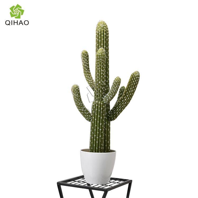 QH-1610A-หนามขาว