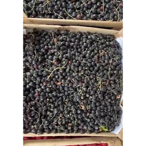 Automatic Berries Cleaning Machine Acai Berry Destemming and Washing Machine for Sale - Product Image 6