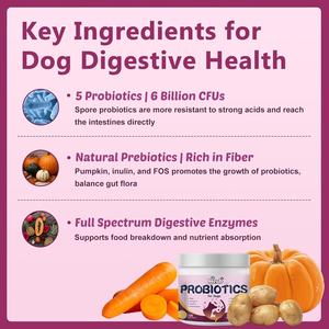 OEM ODM Private Pets <b>Probiotics</b> for <b>Dogs</b> with Prebiotics Promotes a Balanced Gut Microbiome - Boosts Immune Health Soft Chews - Product Image 5