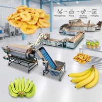 DY Bananenchipsmachine Snijmachine Productielijn 150/260/300/500kg/u SUS 304 Plantainchips Productielijn voor Nieuwe Start