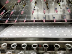 Máy Gieo Hạt Tự Động Cho Các Kích Cỡ Khác Nhau Hạt Giống Của Cần Tây Súp Lơ Ớt Cà Chua Dưa Hấu Măng Tây - Product Image 3