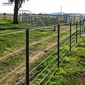 Poteaux de clôture métalliques sur mesure OEM, poteaux étoile et poteaux en Y en acier galvanisé pour clôtures agricoles - Product Image 5