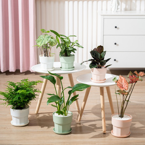 Pot de fleurs circulaire en plastique minimaliste nordique pour plantes et fleurs vertes, à poser sur un bureau ou au sol, pour usage domestique. - Product Image 1