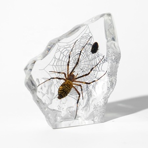 Mát Phong Cách Acrylic Bảng Trang Trí Taxidermy Côn Trùng Động Vật Nhựa Khối Bất Bug Mẫu Vật Nhúng Lucite Halloween - Product Image 4