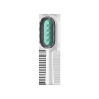 Peigne de nettoyage double face pour chats Brosse de toilettage durable pour animaux de compagnie Peignes de nettoyage pour chiens et chats Peignes de nettoyage remplis d'eau