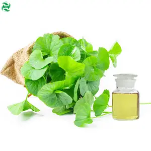 Supply Raw Cosmetics Materials Essential Oils Skincare Oils Centella Asiatica Oil