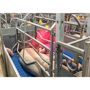 Wholesale Anti-correction Hot Sale Sow Bed Pig Farrowing Crates Farrowing <b>Pen</b> - Product Image 5
