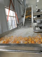Kleine Multifunctionele Apple Berry Perzik Abrikoos Pulm Mango Fruit Jam Making Machine Productie Verwerking Lijn Plant