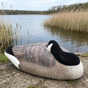 Décoy de chasse au canard sauvage durable, directement de l'usine, pour activités extérieures - Product Image 3