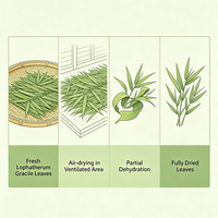 Herbe séchée de Lophatherum Gracile, matière première de Lophatheri pour tisanes, arômes de boissons, pâtisseries et extraction alimentaire