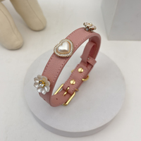 Collier pour chien en cuir pour les promenades quotidiennes et les séances photo avec breloques magnétiques et boucle dorée pour chiens de petite et moyenne taille