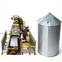 Máquina de Conformación de Rollos para Silos de Acero de Nuevo Diseño, Máquina de Fabricación de Silos de Alta Calidad, Máquina de Conformación de Rollos para Silos Personalizada