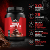 Poudre de protéines de lactosérum OEM/ODM en vrac, saveur chocolat milkshake, supplément nutritionnel sportif pour la croissance musculaire, vente en gros