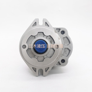 Bomba de Engranajes Hidráulica de Hierro Fundido Hefei Changyuan CBW-F304-ALP de 250 Bares y 1 Etapa con Accionamiento Eléctrico - Product Image 2