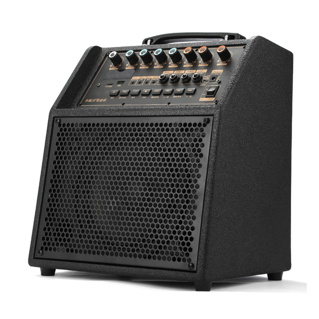 Small Gig Speaker with Wireless Microphone and Remote Control Set