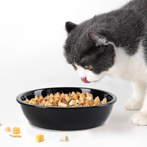 Bol de nourriture pour chien antidérapant Bols surélevés pour chat pour manger lentement Mangeoire lente en céramique pour animaux de compagnie avec support en bois - Product Image 3