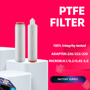 Filtro Plegado de PTFE Hidrófobo de 10 Pulgadas y 0.10μm con 100% de Integridad Probada y Clasificación Absoluta para Aplicaciones de Gas y Ventilación - Product Image 1