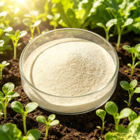 Matières premières pour compléments alimentaires Bifidobacterium Lactis Probiotiques naturels de haute qualité en provenance de Chine