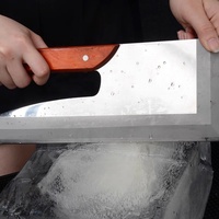 Outils de barre professionnels coupe-glace en acier inoxydable lame de glace coupe-couteau pour barman coupe-glace