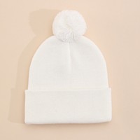 Bonnet d'hiver unisexe en acrylique tricoté avec revers et pompon, personnalisable avec logo brodé, pour le voyage, les sports de plein air, les clubs et la publicité de marque - Vente en gros