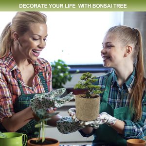 Kit de démarrage pour bonsaï <span class=keywords><strong>japonais</strong></span> en bambou carré 5X avec pots d'intérieur/extérieur pour la culture de bonsaïs à la maison ou au <span class=keywords><strong>jardin</strong></span> - Product Image 6