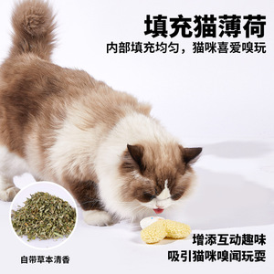 EETOYS <b>Cat</b> <b>Plush</b> Toy Vegetable Shape With Catnip Soft PP Cotton Filling For Pet <b>Cats</b> - Product Image 5