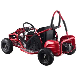 Kostenloser Versand Kind Offroad Buggy 48v 1000W Baja Go-Kart Drift Mini Go Kart