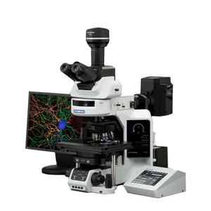 Olympus BX63 40x-1600x Auto microscopio a fluorescenza per la coltura cellulare e la ricerca medica - Product Image 1