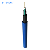 Kabel Serat Optik Tambang Bawah Tanah MGTSV 24 48 72 Core Tahan Api Berlapis Baja untuk Tambang Batubara