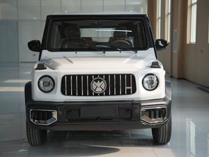 רכב חשמלי סגור לחלוטין בעל ארבעה גלגלים, 3500W, מהירות גבוהה, אנרגיה חדשה, למבוגרים, למכירה, דגם G Class Promote 2026 - Product Image 2