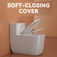 Articles sanitaires modernes en céramique Siphonic Flush Toilette monobloc Salle de bain Placard à eau Salle de bain montée au sol Cuvette de toilette
