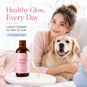 Solution d'hydratation au collagène <span class=keywords><strong>pour</strong></span> chiens et <span class=keywords><strong>chats</strong></span> - Acide hyaluronique et biotine <span class=keywords><strong>pour</strong></span> un pelage doux - Complément alimentaire <span class=keywords><strong>pour</strong></span> animaux de compagnie sans OGM - Product Image 2