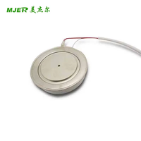 Harga Terbaik Baru Kapsul Thyristor SCR 2000A 1600V Disc Thyristor KP2000A Y70KPEOT