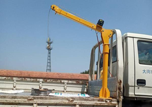HAOY 800 KG Usine Directement Moins Cher Atelier <span class=keywords><strong>Maison</strong></span> Colonne Camion Monté Jib Grue - Product Image 4