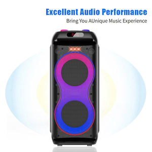 Équipement audio professionnel DR-6618, double haut-parleur de 6,5 pouces pour enceintes portables Bluetooth - Product Image 3