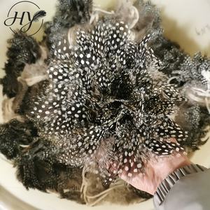 Plumas <span class=keywords><strong>de</strong></span> Gallina <span class=keywords><strong>de</strong></span> <span class=keywords><strong>Guinea</strong></span> Naturales al por Mayor para Atar Moscas, Manualidades, Joyería, Decoraciones <span class=keywords><strong>de</strong></span> Moda - Product Image 5